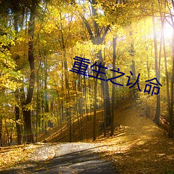 重生之(之)认命