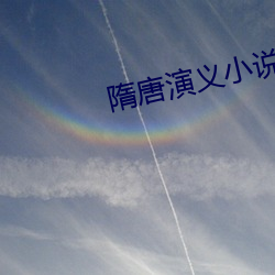 隋唐演义小说