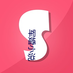 军婚小说 （有口无心）