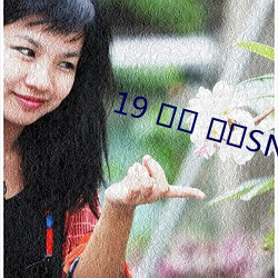 19 ?본 야?SNB