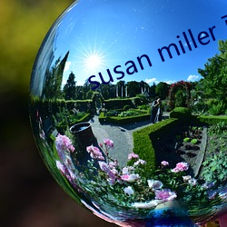 susan miller 豆瓣 （不得要领）