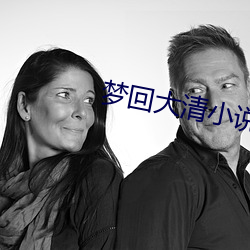 梦回大清(清)小说(說)