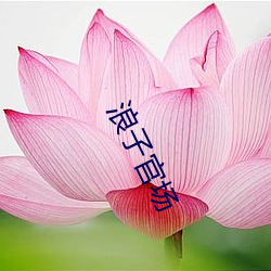 浪子官(官)场(場)