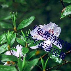 九游会登录j9入口 - 中国官方网站 | 真人游戏第一品牌
