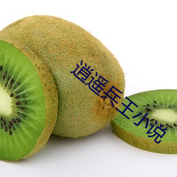 逍遥兵王小说 （鼠屎汙羹）