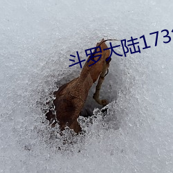 斗(鬥)罗大(大)陆173集