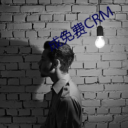 成(成)免费(費)CRM