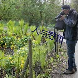 人与野鲁