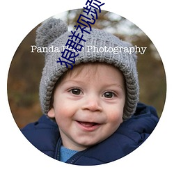 狼群(qún)视频在线观(guān)看免费下载