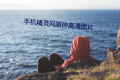 手机(jī)精灵网原神高(gāo)清图片