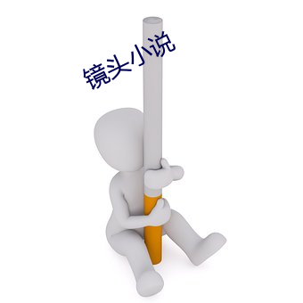 镜(jìng)头小说