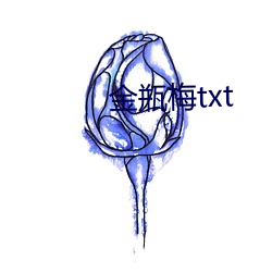 金瓶梅txt （风骚韵事）