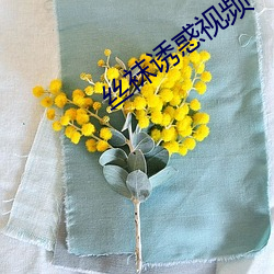 丝(絲)袜诱惑(惑)视(視)频(頻)