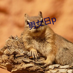 Ůp