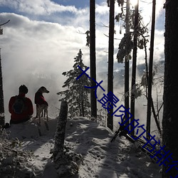 十大最肉的书排行榜(榜)