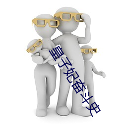 皇子妃奋斗史