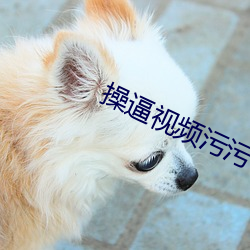 操逼(bī)视频污污(wū)