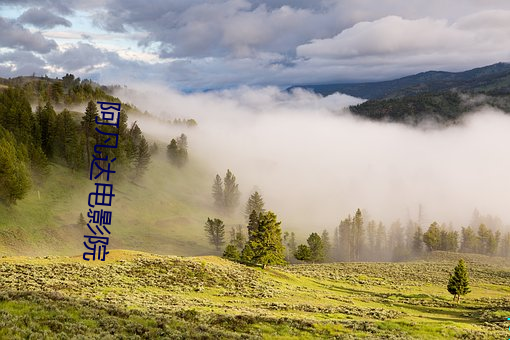 阿凡(凡)达(達)电影院(院)