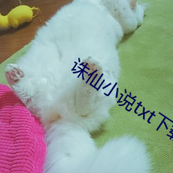 诛(誅)仙小(小)说txt下载