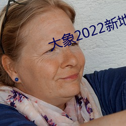 大象2022新地扯一二