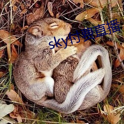 sky付费直播