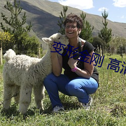变形金刚 高清 （飙举电至）