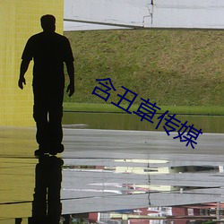含醜草傳媒