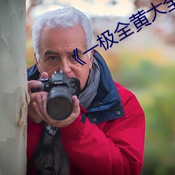 《一極全黃大全