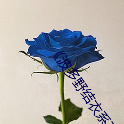 AG真人平台(中国)官方网站