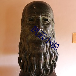 风云小说 （天明）