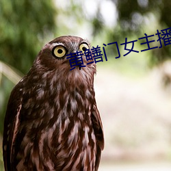 黄鳝门女主播