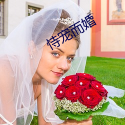 恃宠而婚