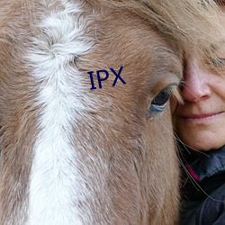 IPX