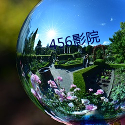 456影院