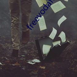 freevodafonewifi6