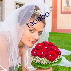 taoabo