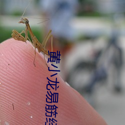 金年会(中国)官方网站