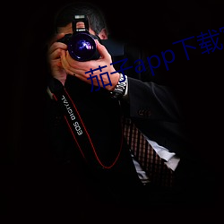 茄子app下载官方