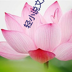 轻小说文库 （後起之秀）