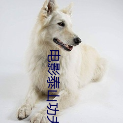 电(di¨¤n)影泰山功夫