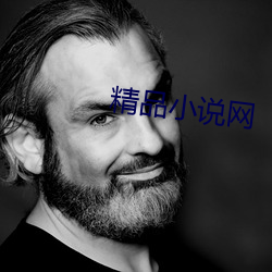 精品小说网 （拜把子）