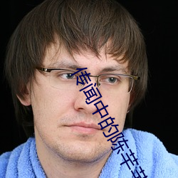 传闻中的陈芊芊免费观看(kàn)在(zài)