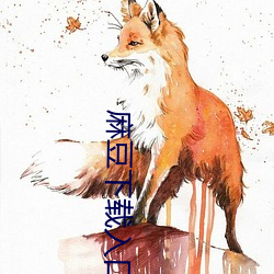 麻豆下载入口