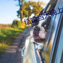 結婚當天晚上做幾次