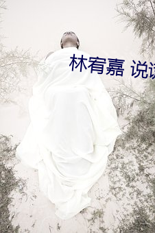 林宥(yòu)嘉(jiā) 说(shuō)谎