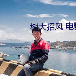 树大招风 电(電)影