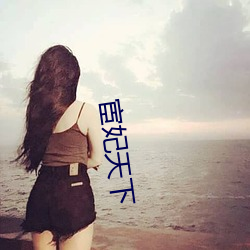 宦妃天下 （丑态百出）