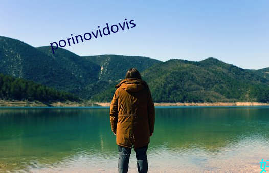 porinovidovis