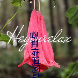 香蕉传煤网站网址入口 （钻穴逾墙）