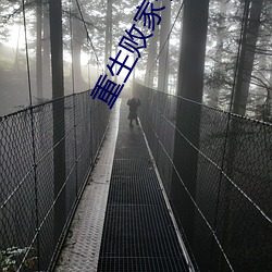 重生败家子 （暮景桑榆）